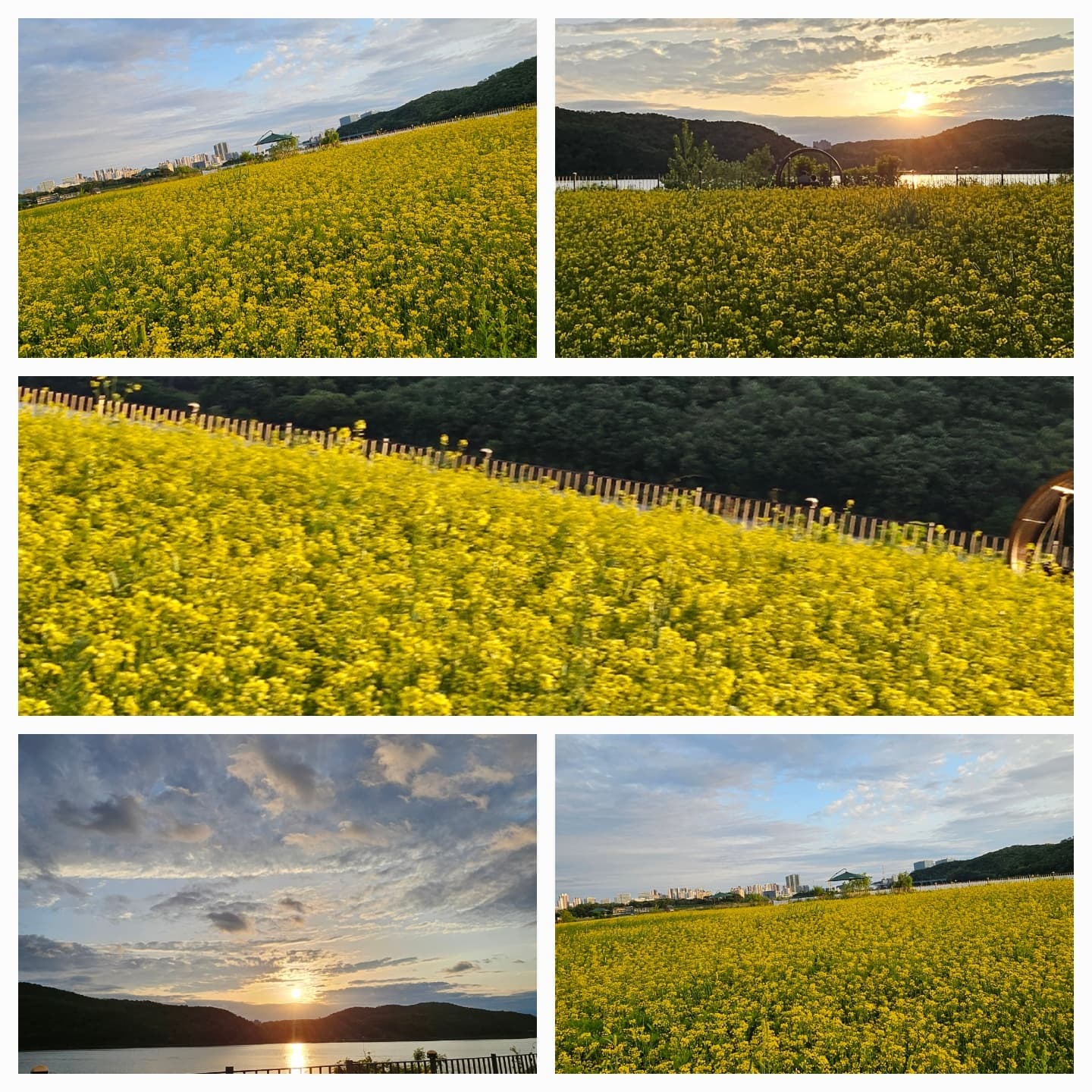 용인 기흥호수 뷰 좋은 카페 추천|호수 옆 힐링 스팟 ‘호수앉기’ 카페 방문기