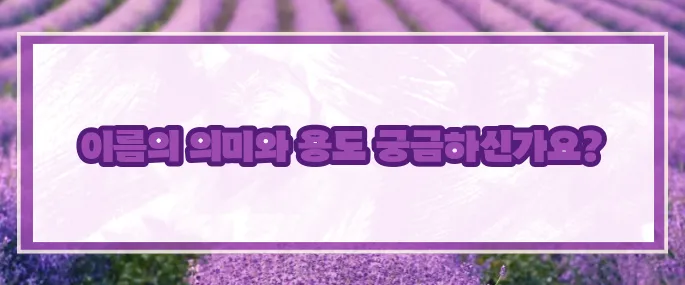 first name 뜻과 사용법 (+예시정리)