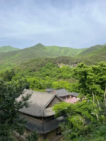 구례 가볼만한곳 베스트10 장터 현지인 맛집_8