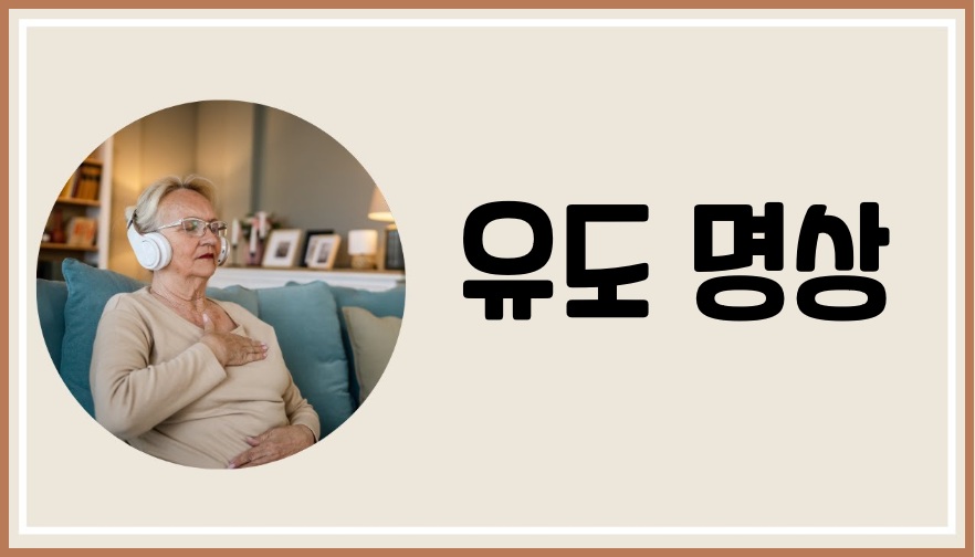 유도 명상