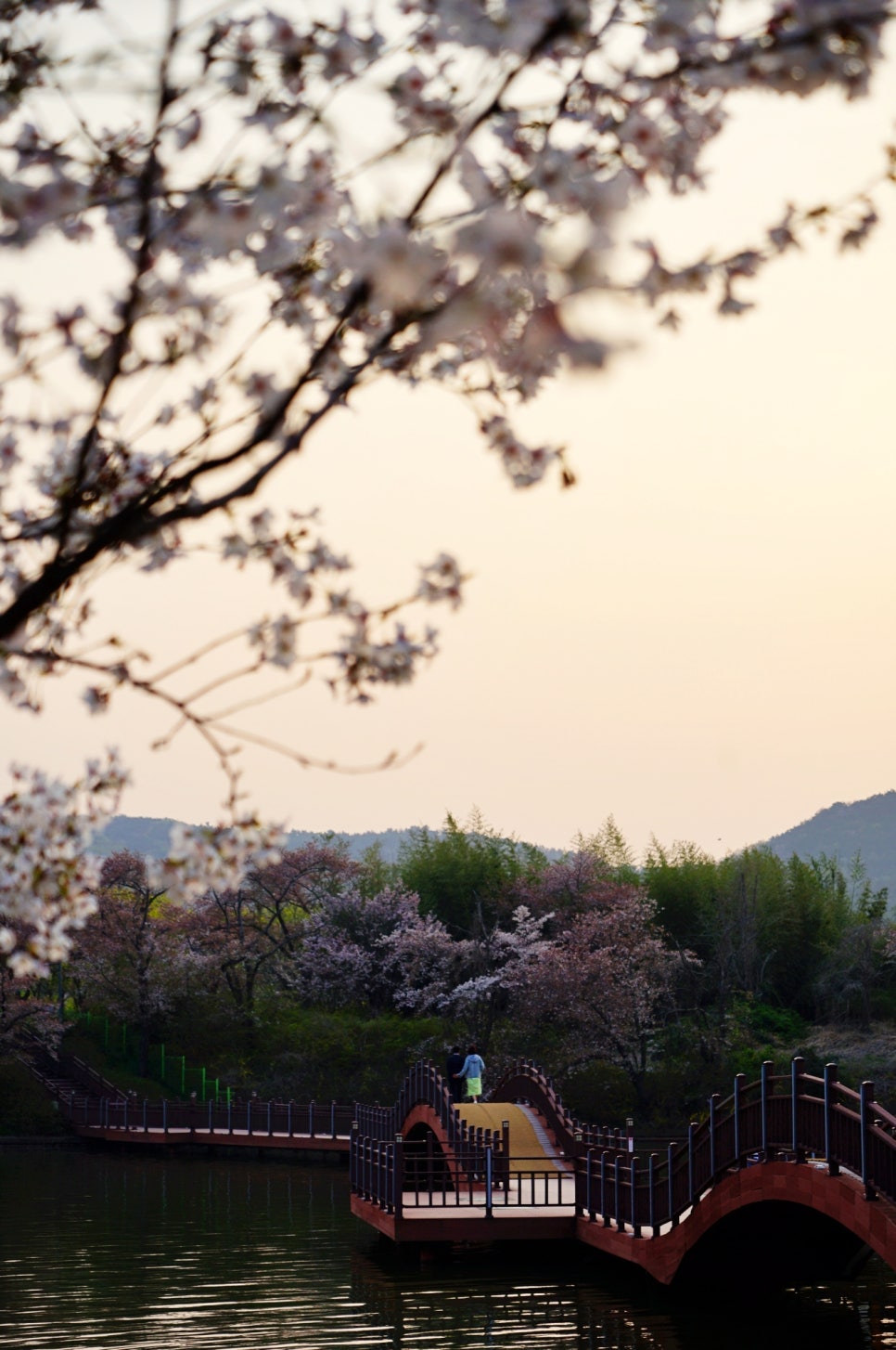 벚꽃명소