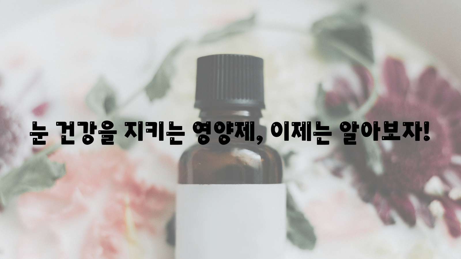 눈 건강, 영양제, 알아보자