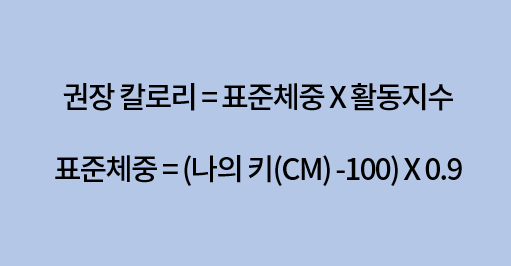 여자 하루 칼로리