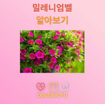 밀레니엄벨 꽃말 및 탐구