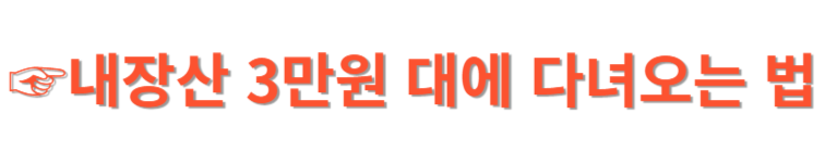 내장산 가성비 여행