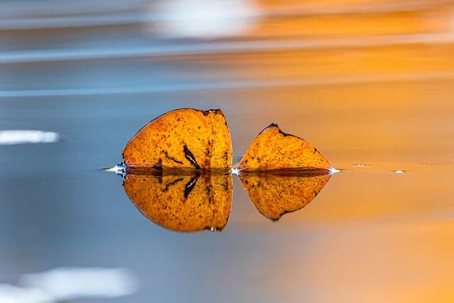 데이터 과학자와 데이터 아키텍트의 차이점