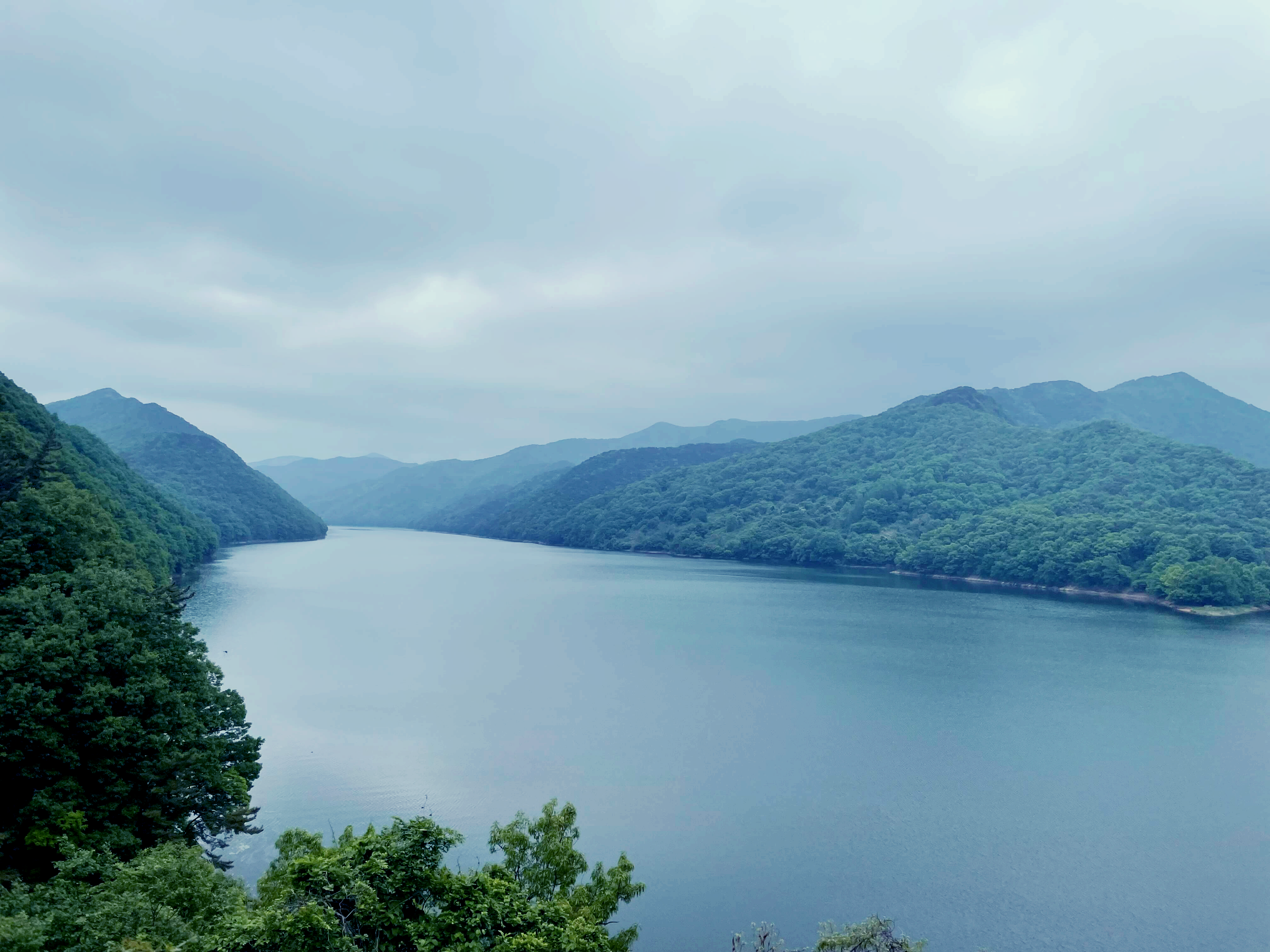 대전근교가보만한곳 옥천수생식물원