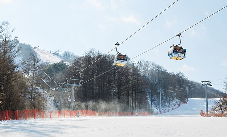 2025/2026 휘닉스파크 평창 스키장 시즌패스 완벽 가이드