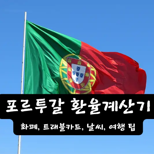 포르투갈 환율 계산기 환전 방법