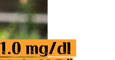 혈액검사 crp정상수치