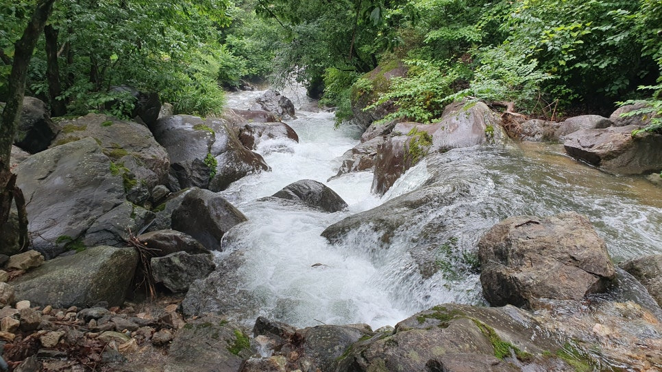 2025 여름 휴양지