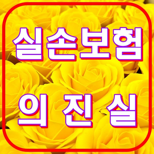 실손보험의진실