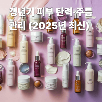 갱년기 피부 탄력·주름 관리 (2025년 최신)