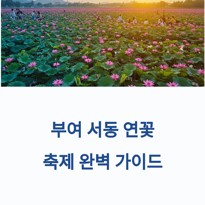 부여 연꽃축제 무료입장