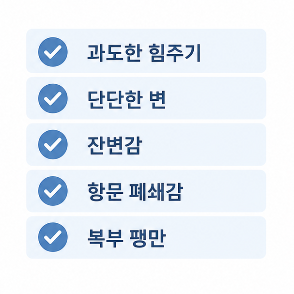 심한 변비 주요 증상 체크리스트