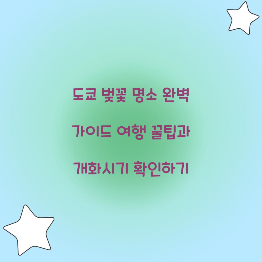 도쿄 벚꽃 명소
