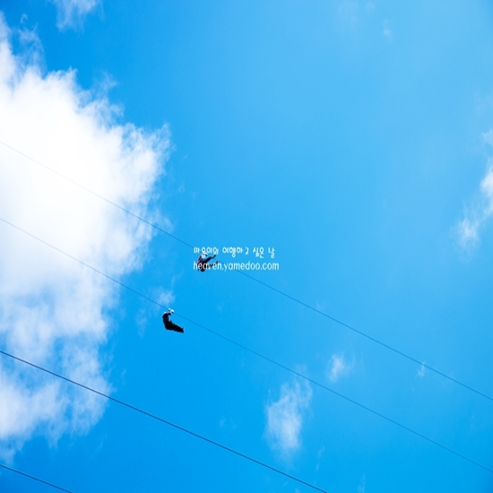 충청도 가볼만한곳 베스트10