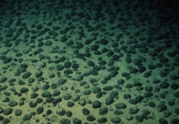 망간 단괴의 심해 바닥에 있는 모습