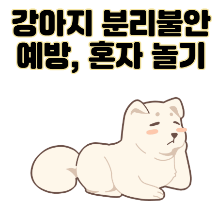 강아지 분리불안 예방, 혼자 놀기 훈련법은?