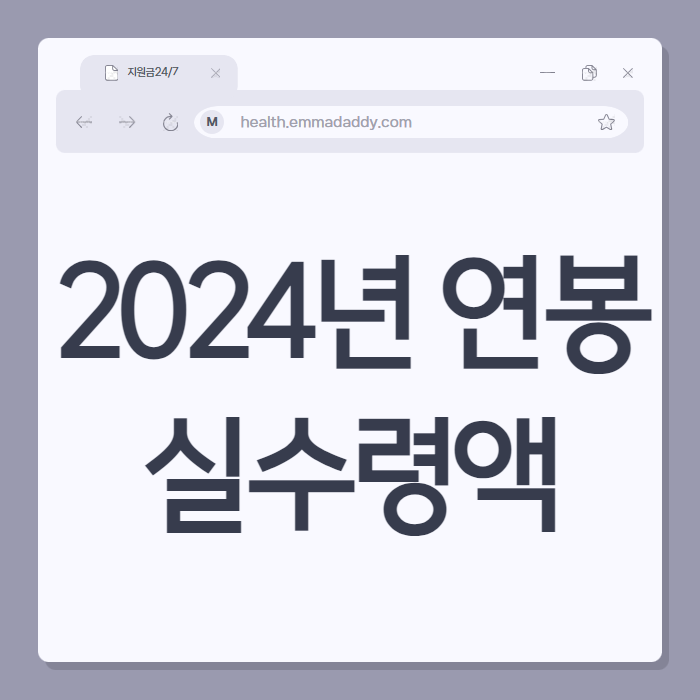2024년 연봉 실수령액