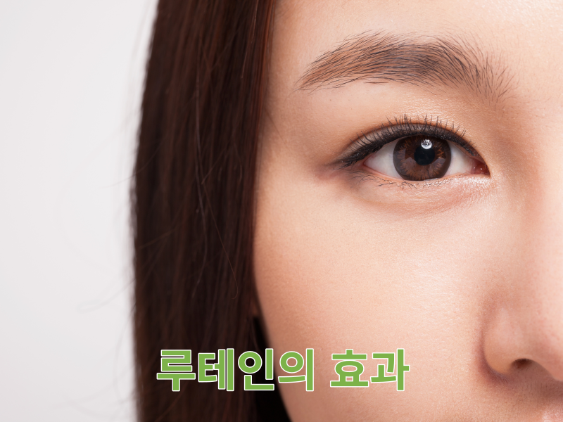 루테인은 꾸준히 섭취하는 것이 좋다.