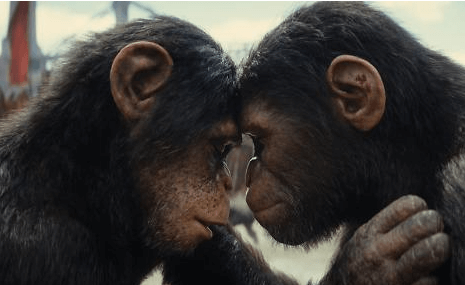 영화 예매순위 5월