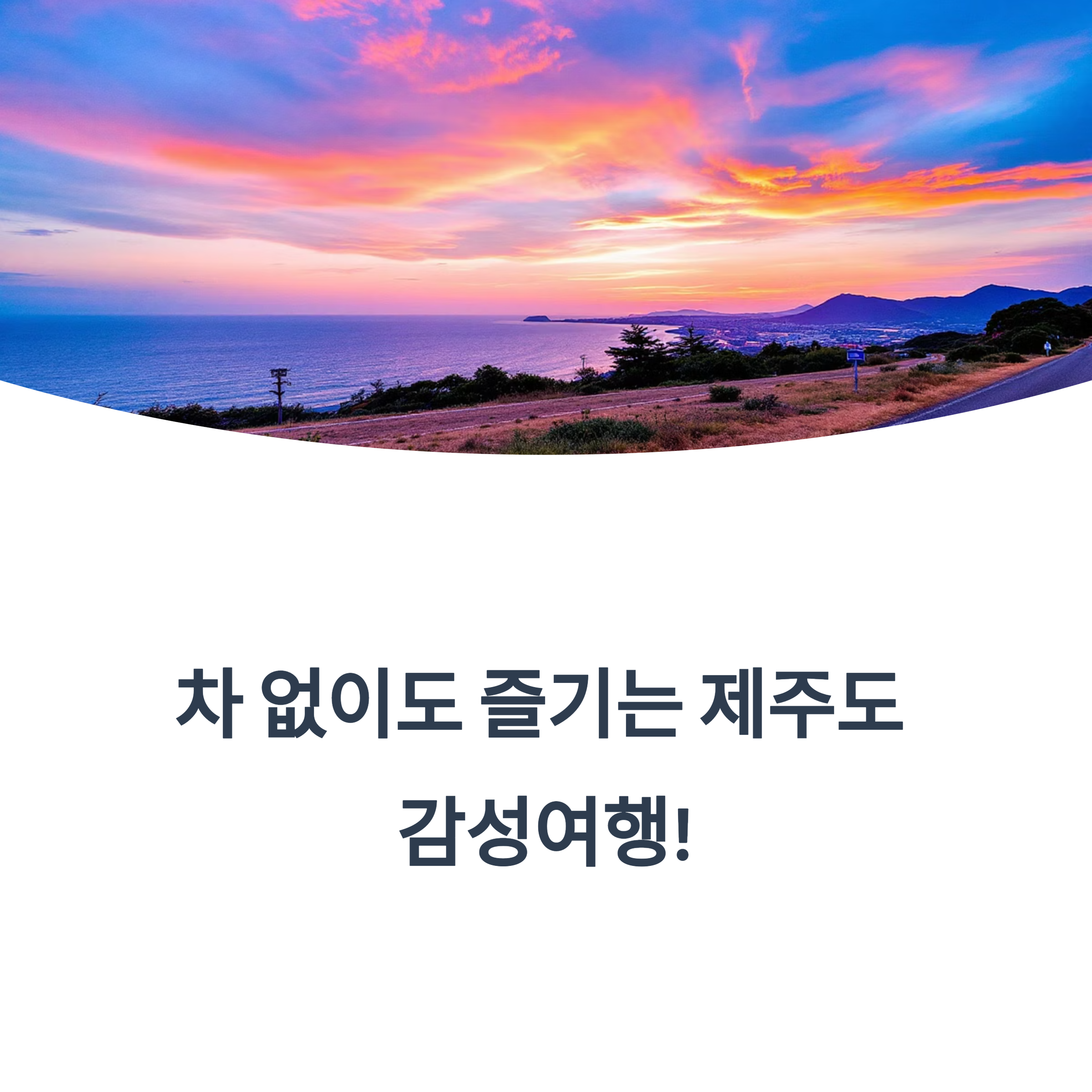 차 없는 제주도 2박3일 여행 사진