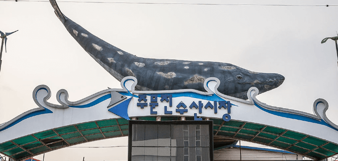 주문진-가볼만한곳-수산시장