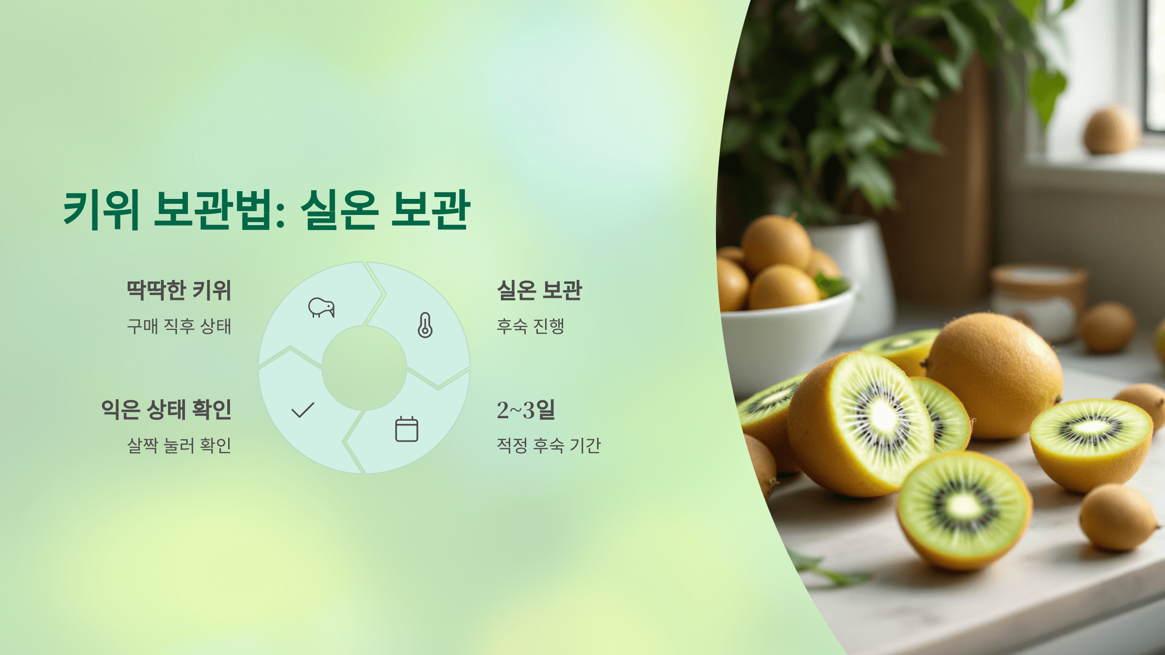 키위 사진입니다.