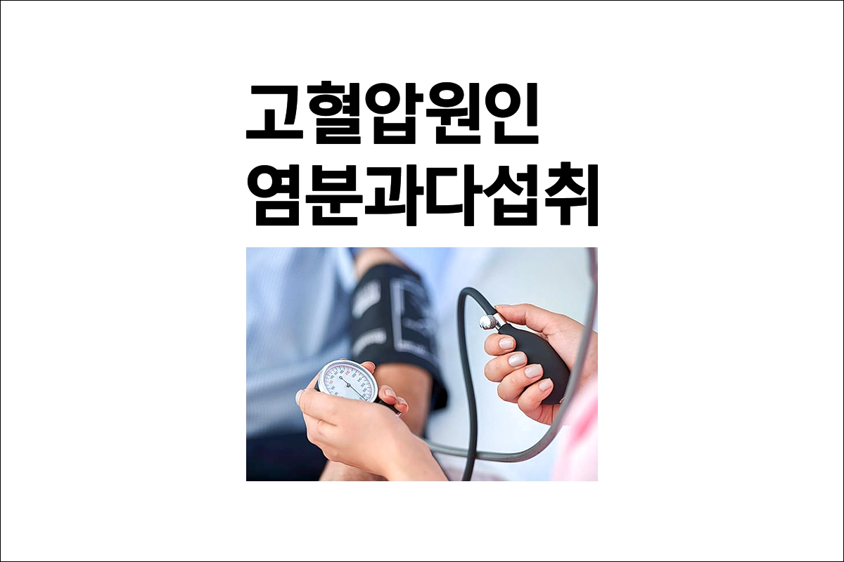 고혈압 원인 염분 과다 섭취