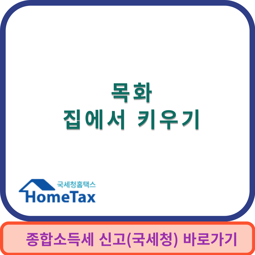 목화키우기썸네일