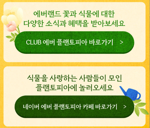 2024 에버랜드 비밀의 은행나무 숲 스마트 예약방법 프로그램 일정표 셔틀버스노선표 보기