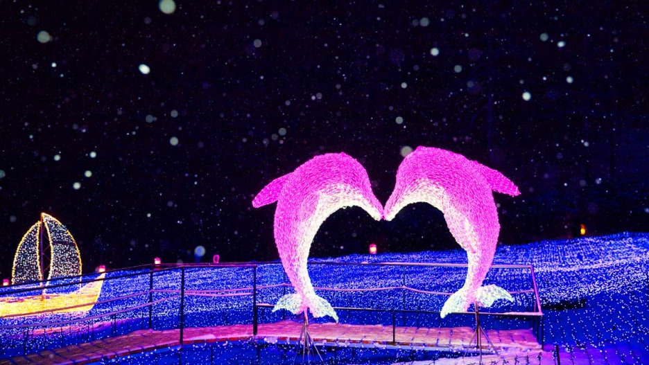 아침고요수목원 오색별빛정원전 겨울 야경 명소 지금 절정