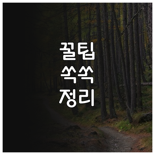 2025 용산구 임산부 건강관리 지원..