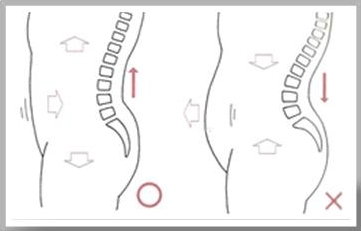 λ°λ리ννΈ μμΈ λ³΅μ