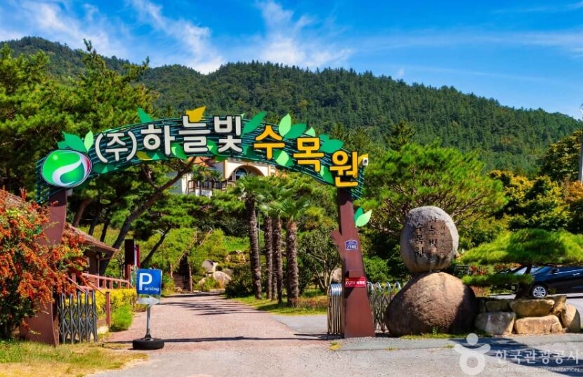 장흥 가볼만한곳 베스트 10