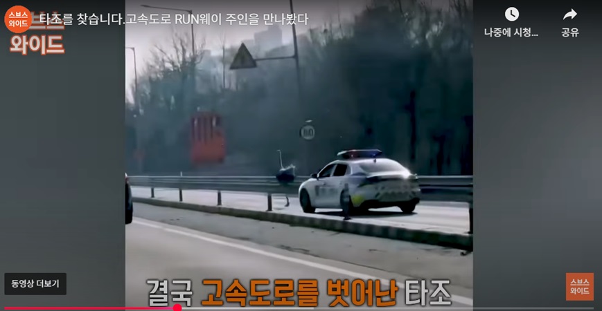 타조의 안전한 귀환 과정