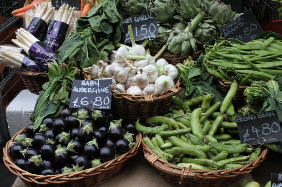 건강 식품 구독 서비스의 성공 전략