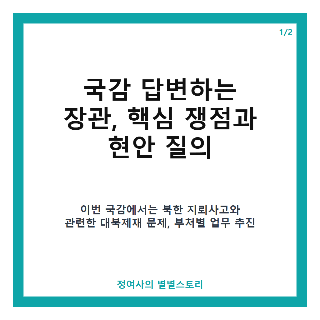 국감 답변하는 장관들, 북한 지뢰사고 대북제재 논란과 현안 질의 핵심 정리 카드뉴스 1