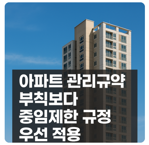 아파트 입주자대표회의 동별 대표자 중임제한 규정