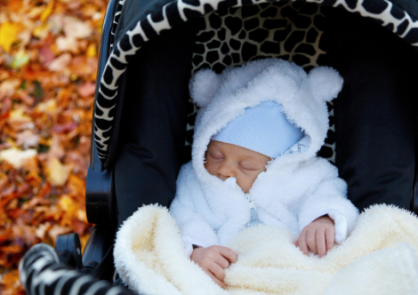 유모차 세척과 관리방법 (세탁주기, 얼룩 제거, 보관 팁) 관련 사진