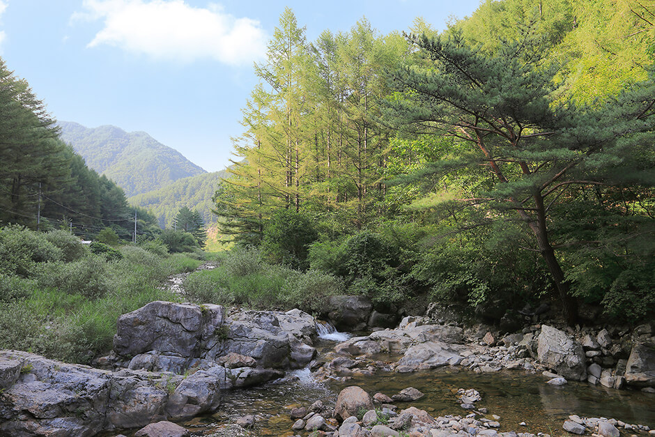 봉화 가볼만한곳 베스트 10