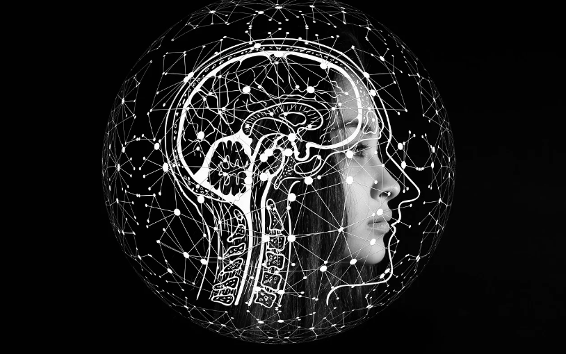 스트레스는 뇌를 어떻게 변화시킬까? — 감정과 호르몬의 뇌 과학