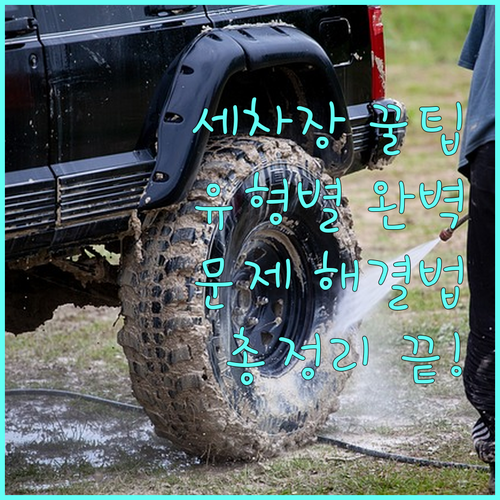 세차장 이용, 이것만 알면 끝! 유형