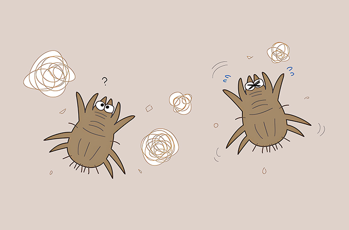 독성이-있는-곤충