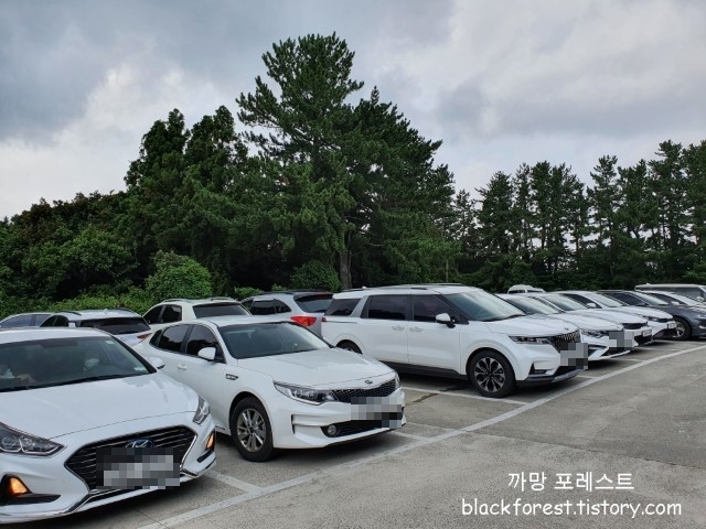 빛의 벙커 주차장