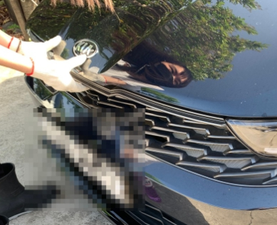 워셔액넣는버_2차보닛열기