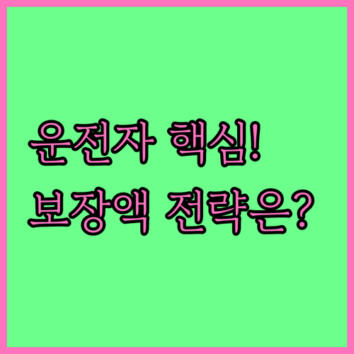 롯데손해보험 운전자 보험 핵심 보장금..