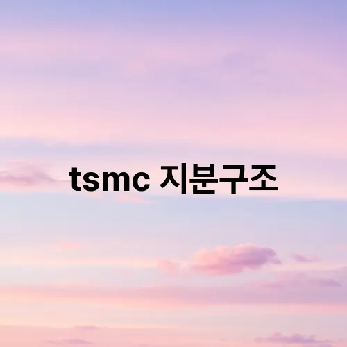 tsmc 지분구조