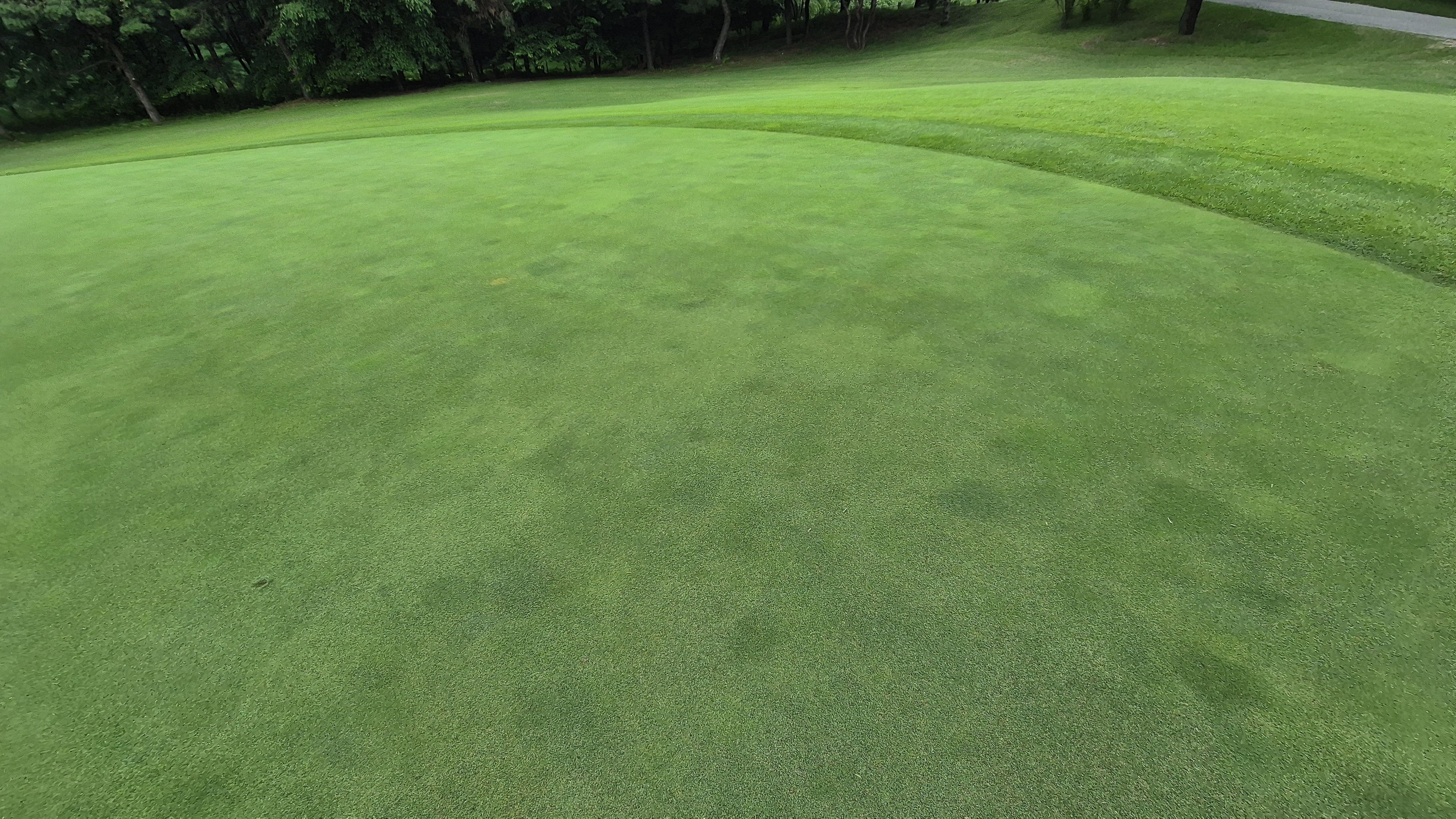 뉴스프링빌cc 라운드 후기